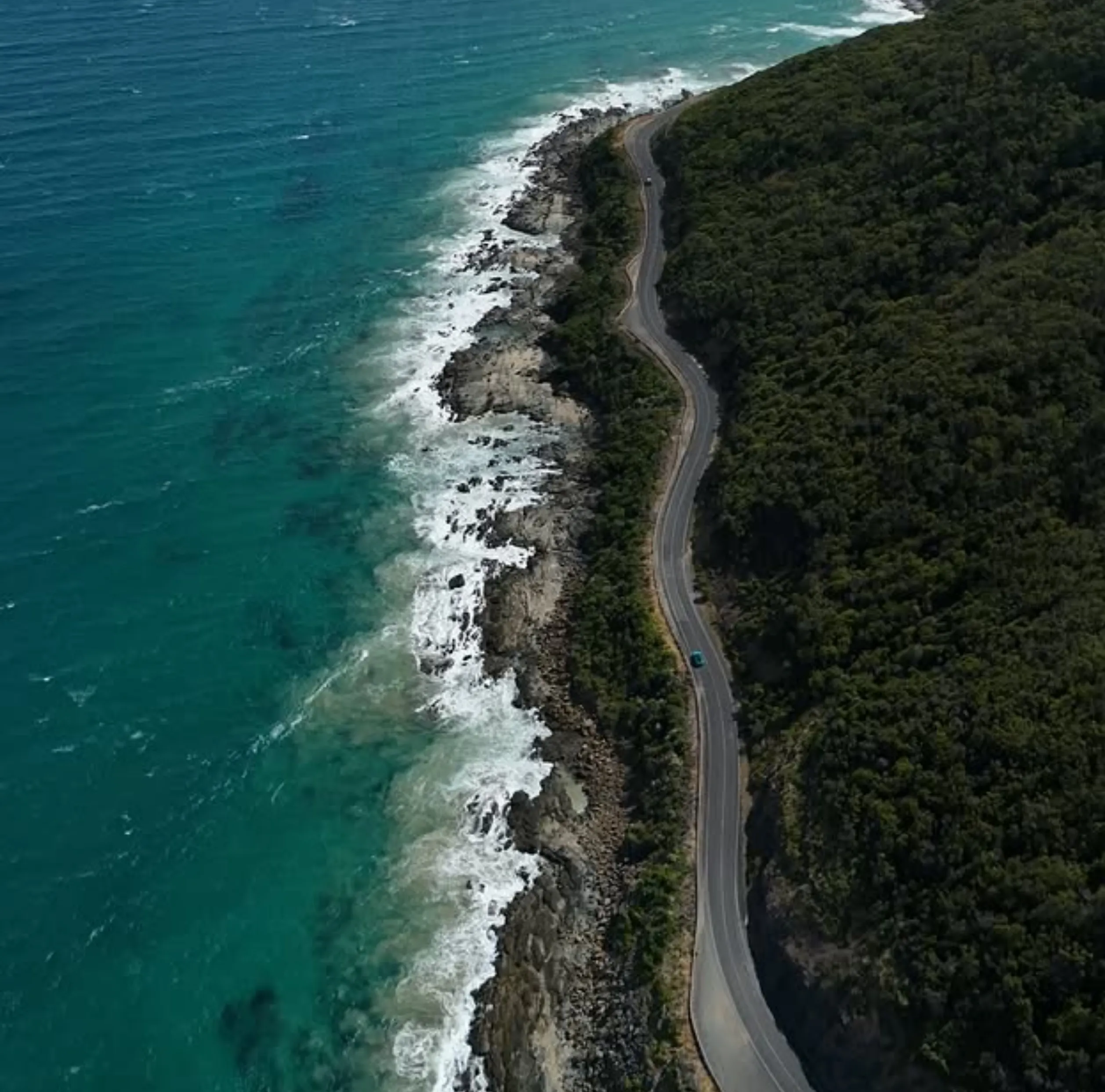 Is It Cheaper to Rent a Car or Book a Great Ocean Road Tour?